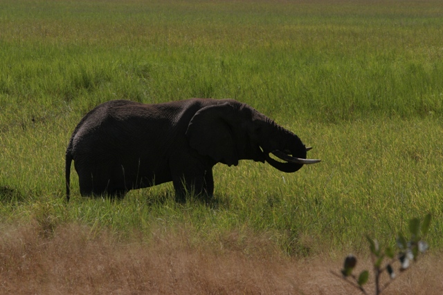 foto tanzania 2006